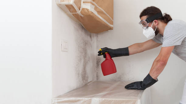 Professional Hvac And Air Duct Mold Remediation technician working in Farmingdale, NJ